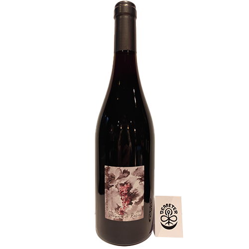 AOP Cotes du Rhône - Poignée de raisins